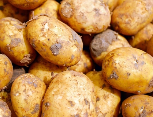 Ziemniaki